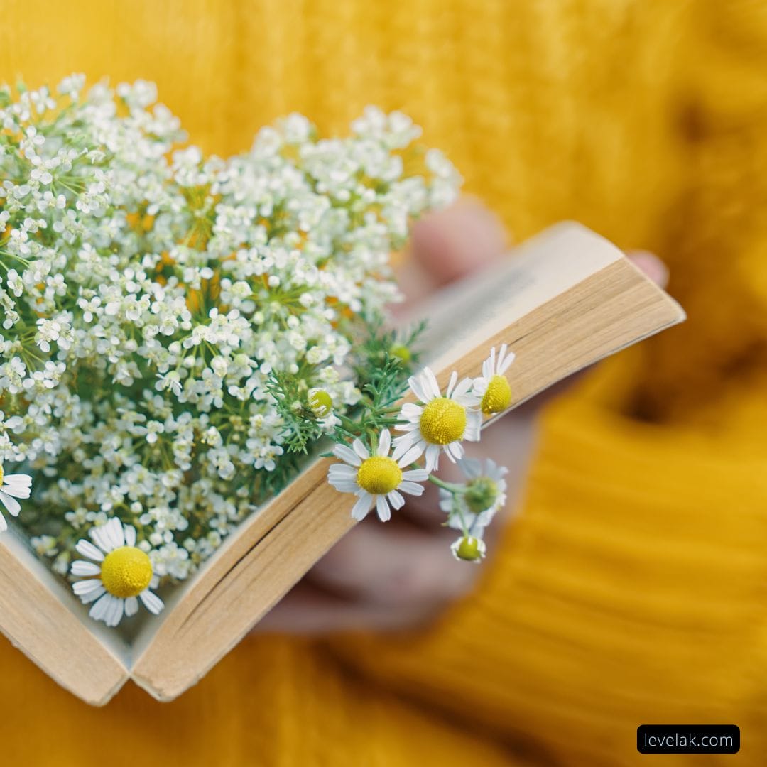 Living as a Muslim in Today’s World – Tarbiyah for Girls Class 9+